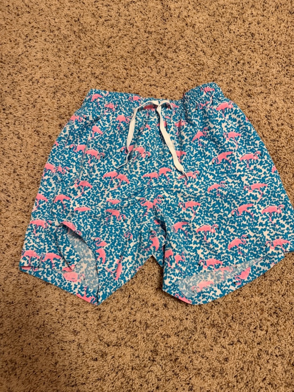 chubbies Teal Swim Trunks with Pink Dolphin Print